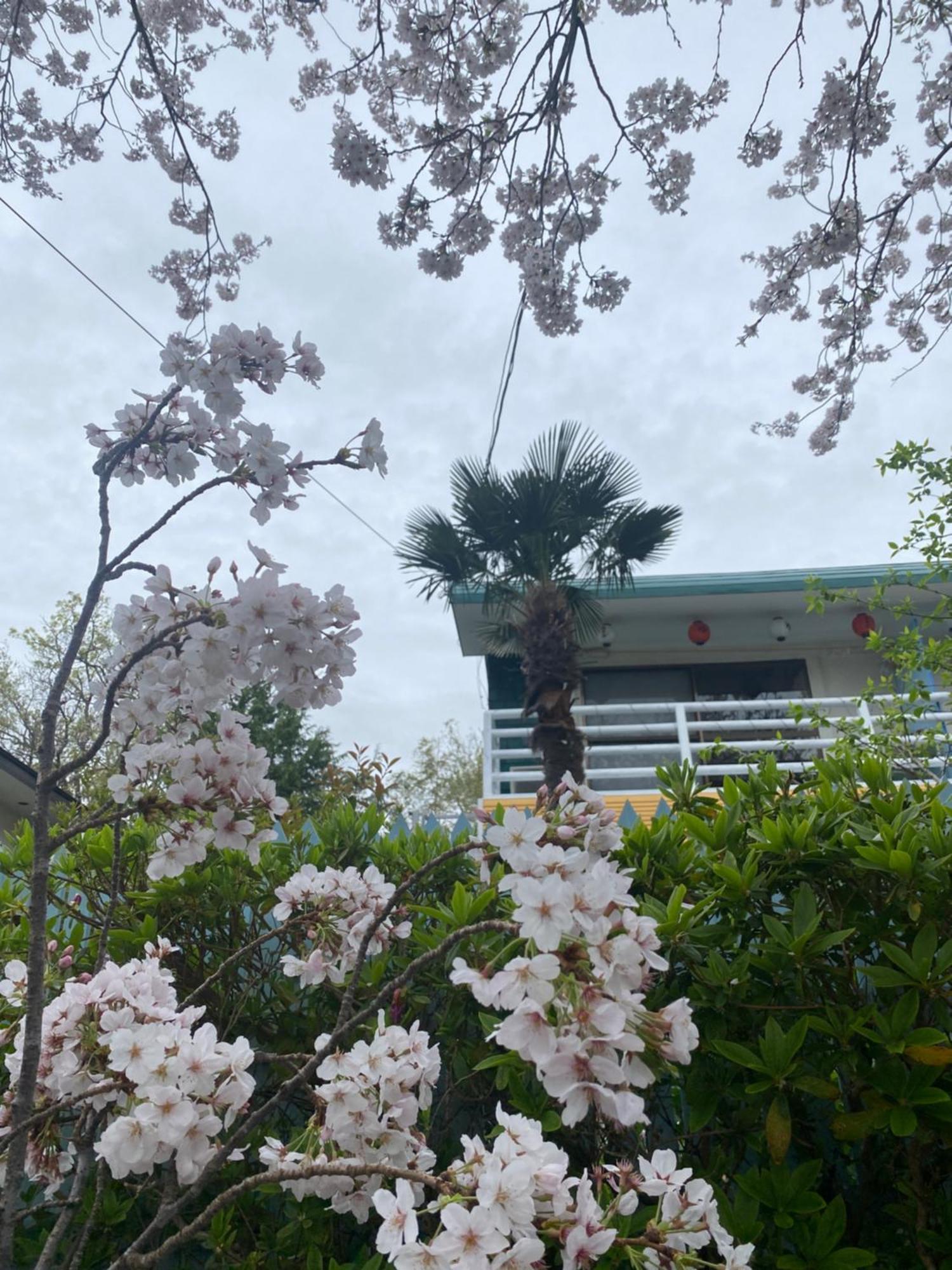 Hanamizuki Onsen Resort Ito  Bagian luar foto