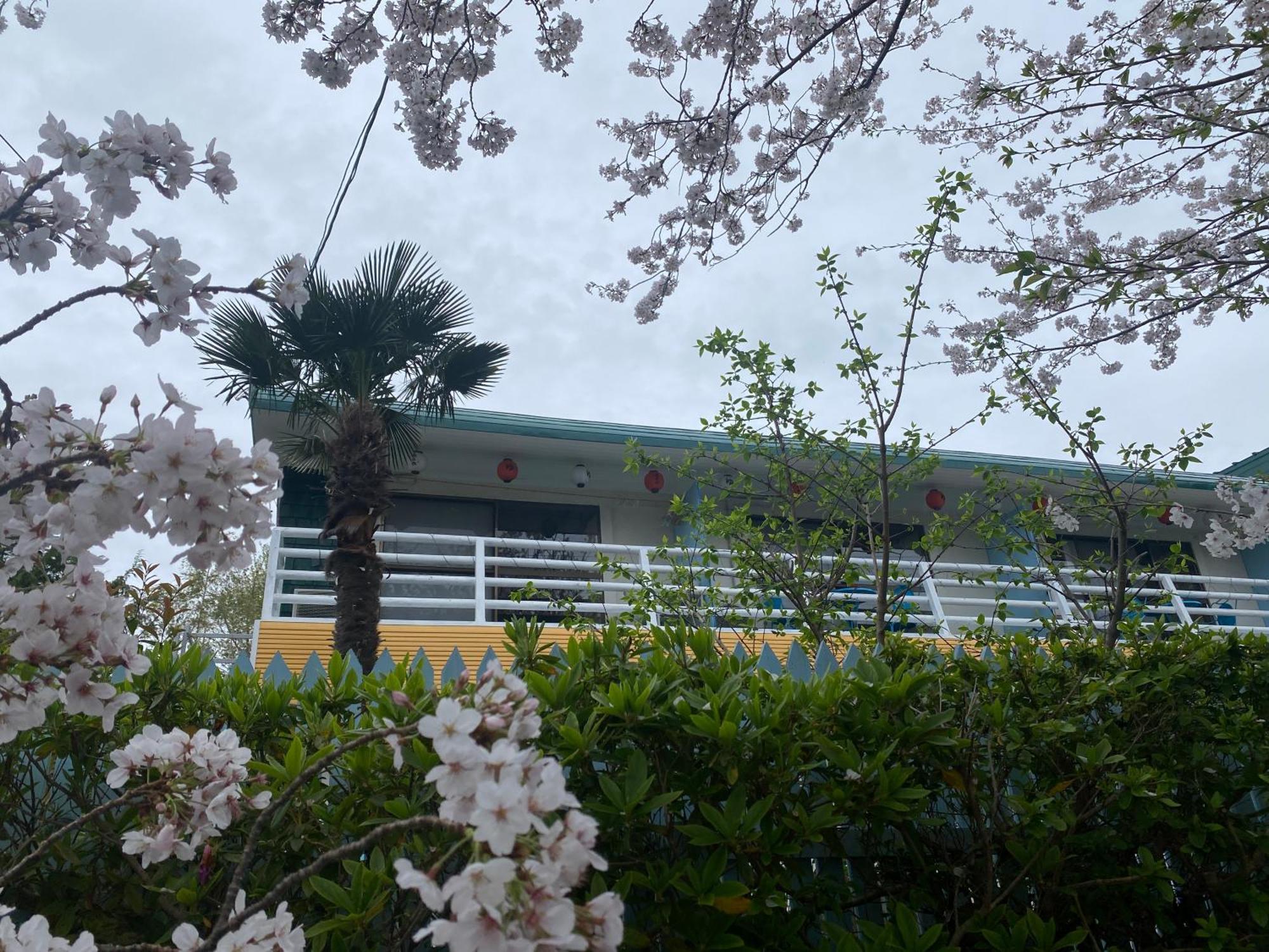 Hanamizuki Onsen Resort Ito  Bagian luar foto