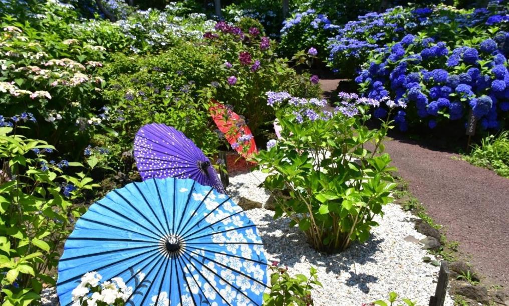 Hanamizuki Onsen Resort Ito  Bagian luar foto